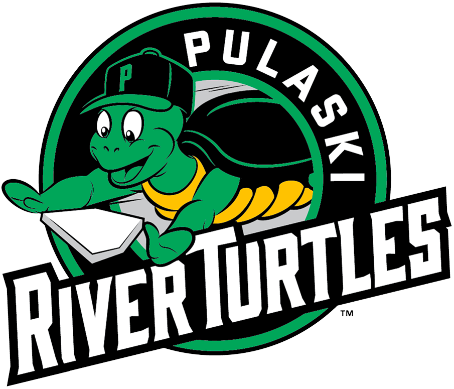 Pulaski River Turtles 2021-Pres Alternate Logo iron on transfers for clothing